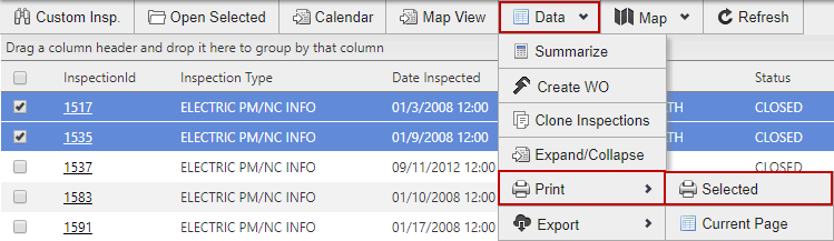 Print Multiple Custom Inspections